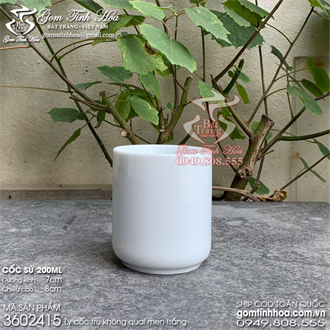 Ly cốc không quai men trắng Ly cốc quán trà cafe