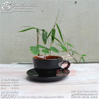Ly tách cafe Capuchino 220ml men đen lòng màu da lươn